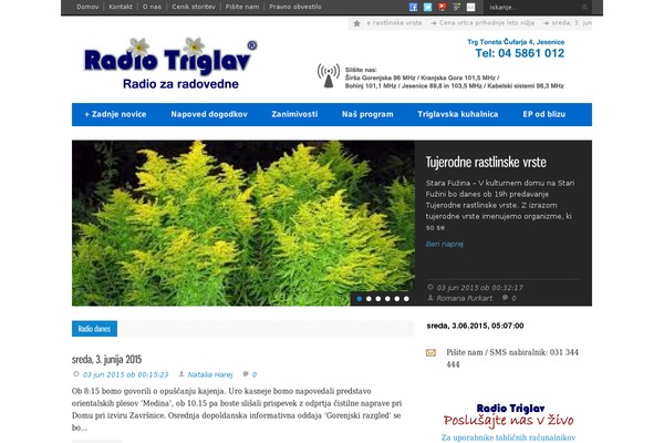 Site using Flash MP3 Player plugin