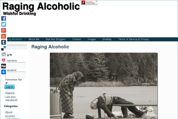 ragingalcoholic.com site used Magazine Child