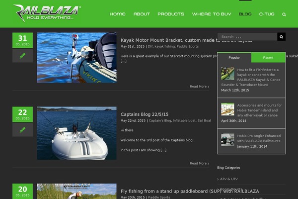WordPress website example screenshot