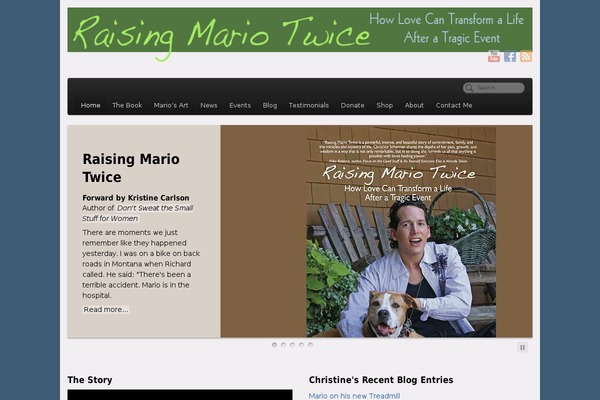 PageLines theme site design template sample