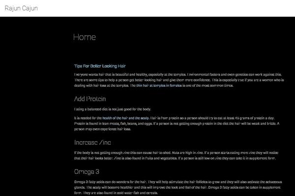 WordPress website example screenshot