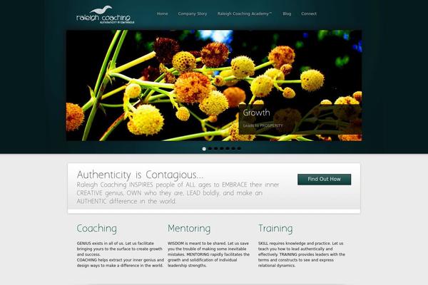 raleighcoaching.com site used Pleng-v1-6