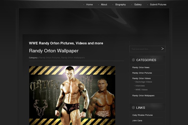 randyortonworld.com site used Allblack