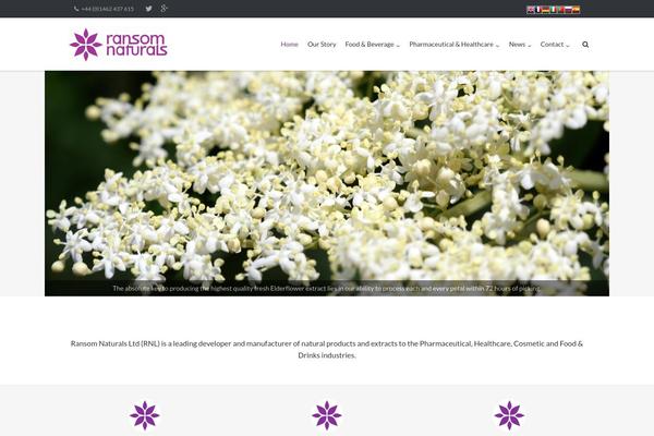 RansomNaturals theme websites examples