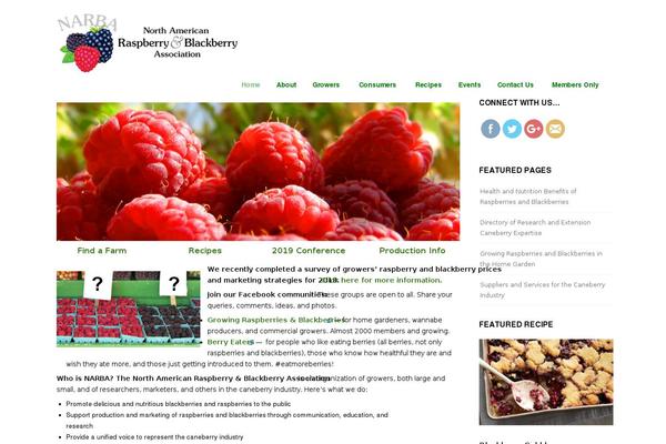 raspberryblackberry.com site used Narba