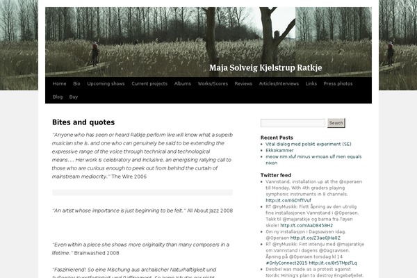 WordPress website example screenshot