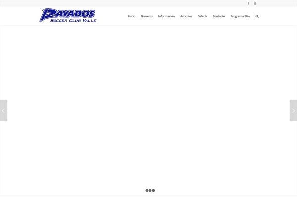 Enfold theme site design template sample