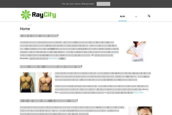 raycity.in.th site used Newspaper