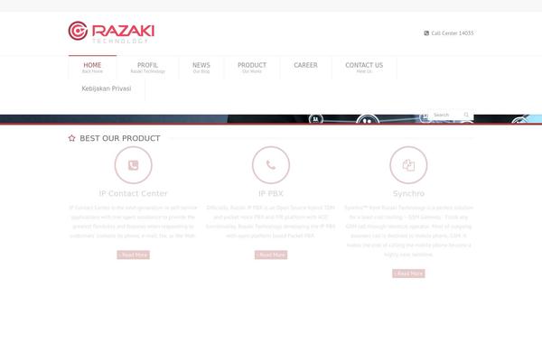 WordPress website example screenshot