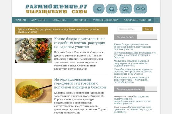 razmnojenie.ru site used NovoMag