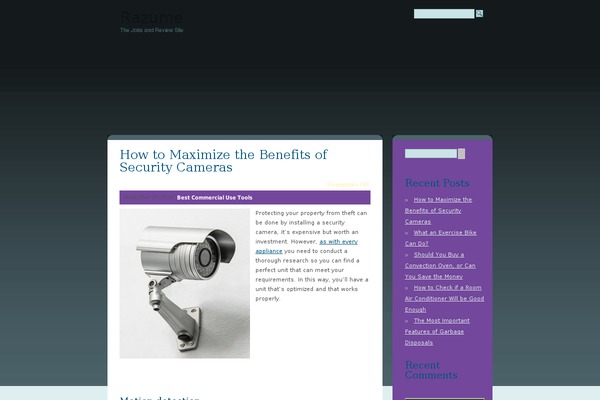 WordPress website example screenshot