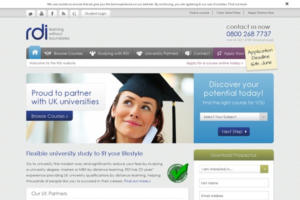 rdi theme websites examples
