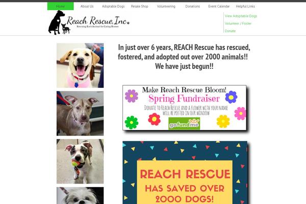 rrtheme WordPress theme, websites list used rrtheme theme rrtheme theme websites examples