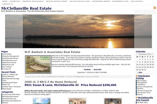 WordPress website example screenshot
