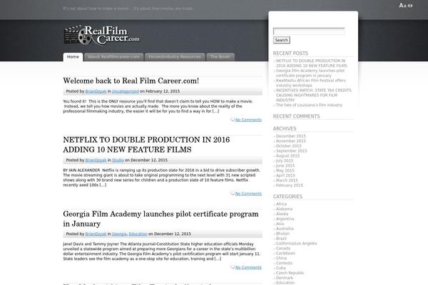 WordPress website example screenshot