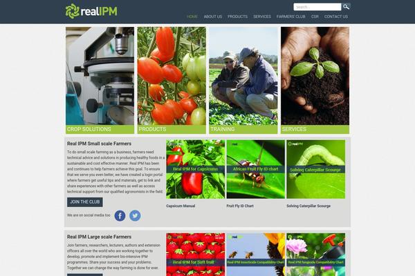 realipm.com site used Realipm
