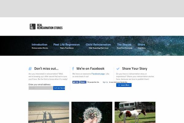 rrs theme websites examples