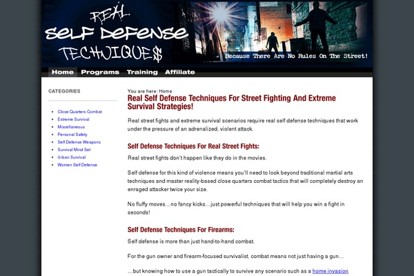Canvas theme site design template sample