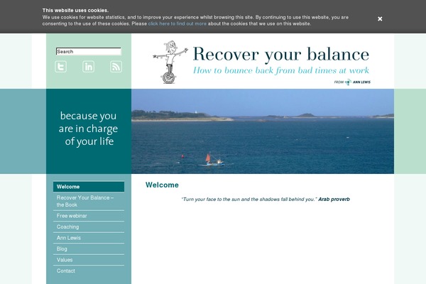 recoveryourbalance.com site used Ryb