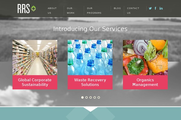Recycle website example screenshot