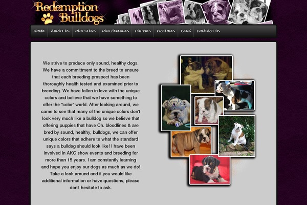 WordPress website example screenshot