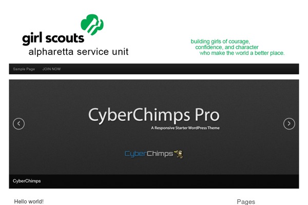 CyberChimps Pro theme site design template sample