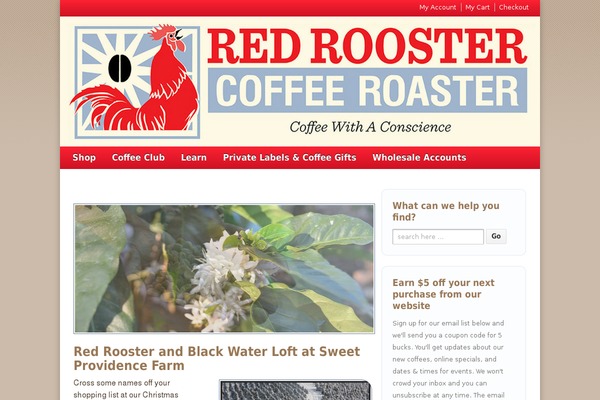 rooster-responsive-child theme websites examples