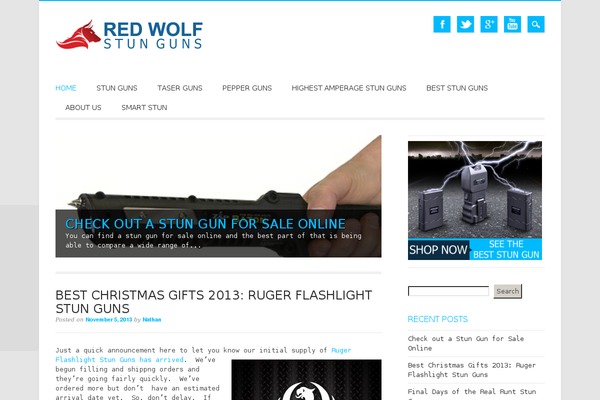 redwolfstunguns.com site used Blogzine