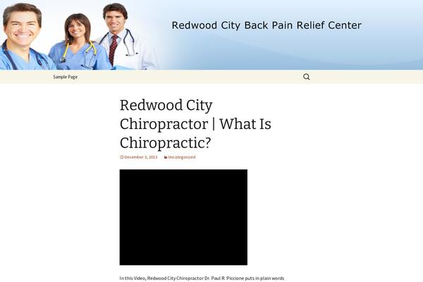 redwoodcitybackpainrelief.com site used Twenty Thirteen