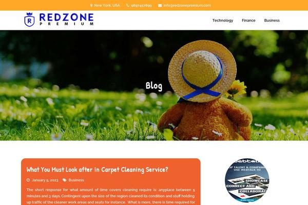 redzonepremium.com site used Creativ-kindergarten