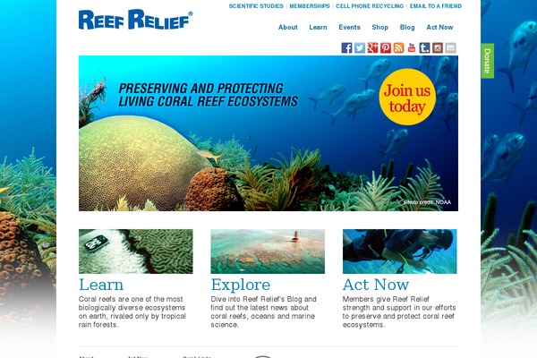 reefrelief.org site used Flows
