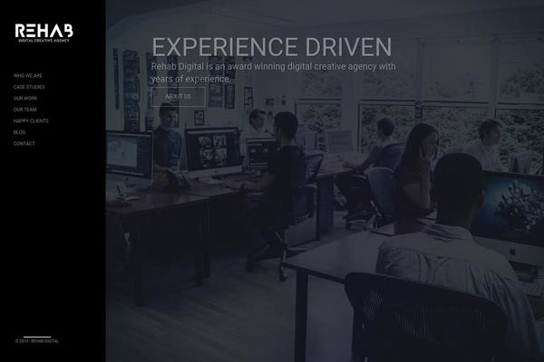 rehab theme websites examples