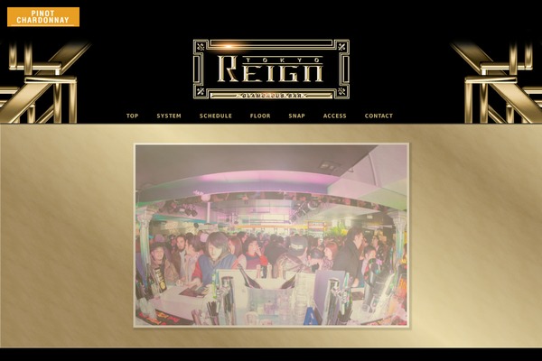 reign WordPress theme, websites list used reign theme reign theme websites examples
