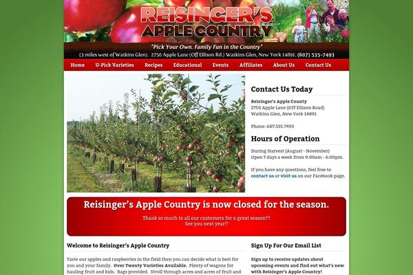 WordPress website example screenshot
