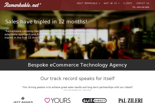 remarkable WordPress theme, websites list used remarkable theme remarkable theme websites examples
