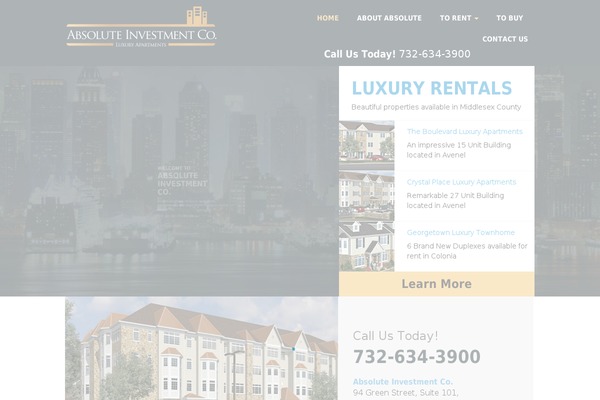 absolute-investment-co theme websites examples