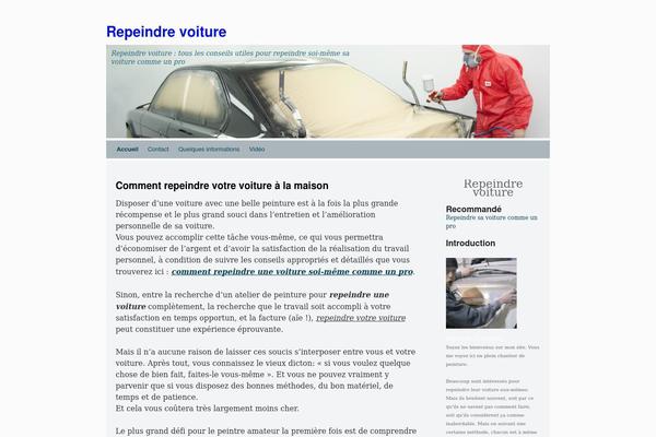 repeindrevoiture.com site used Silver Spot