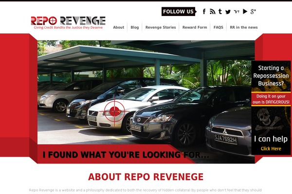 reporevenge.com site used Rrpk2