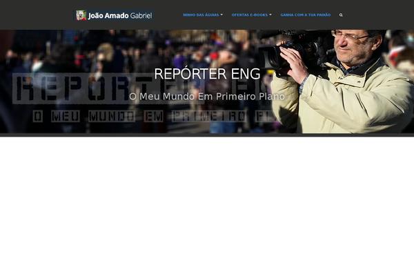 reportereng.com site used Theme_3