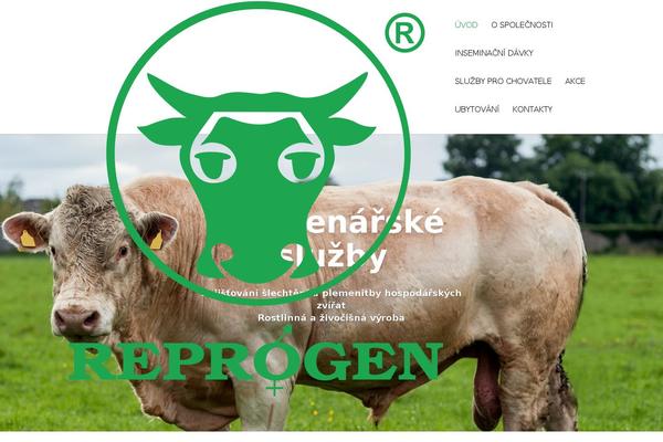 reprogen.cz site used Divi-child-wplama