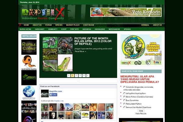 rx WordPress theme, websites list used rx theme rx theme websites examples