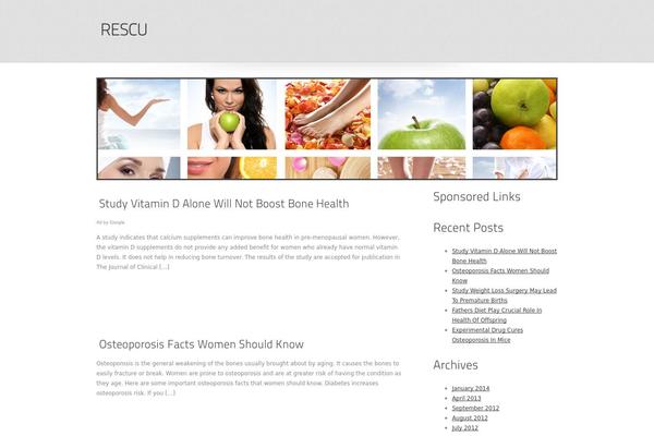 Seoc-cleanonline theme site design template sample