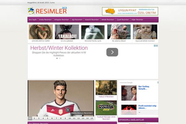 resim theme websites examples