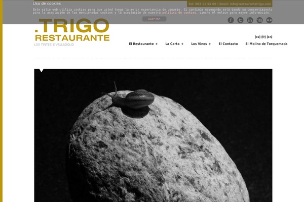 restaurantetrigo.com site used Ruskin