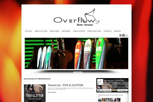 Overflow theme site design template sample