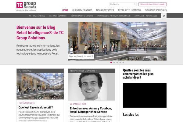 retail-intelligence.fr site used Tec