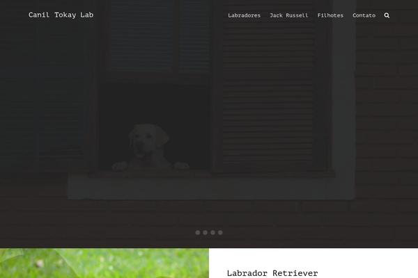 Site using Responsive Lightbox plugin