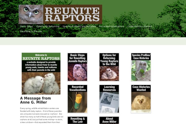 Raptor theme site design template sample