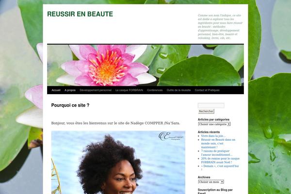 Site using Ie-sitemode plugin
