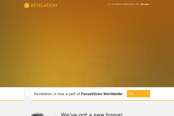 focusvision theme websites examples